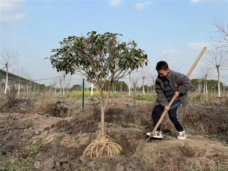 微信图片_20240627150734.jpg 微信图片_20240627150734.jpg